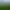 El Conquistador Country Club