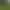 Encina Royale Golf Course