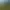 Leisure World Golf
