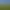 Sewailo Golf Club