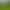 Best Golf Course Communities to explore in North Carolina 2026
