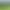 Golf Community Application: HOA Requirements 