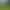 Golf Community Senior Living Cost 2026