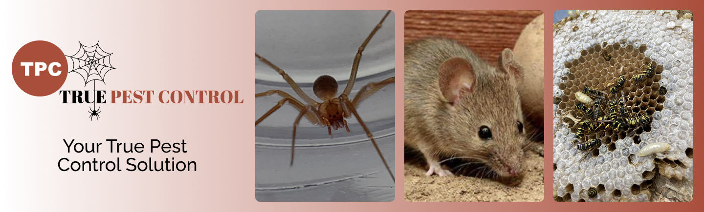 True Pest Control