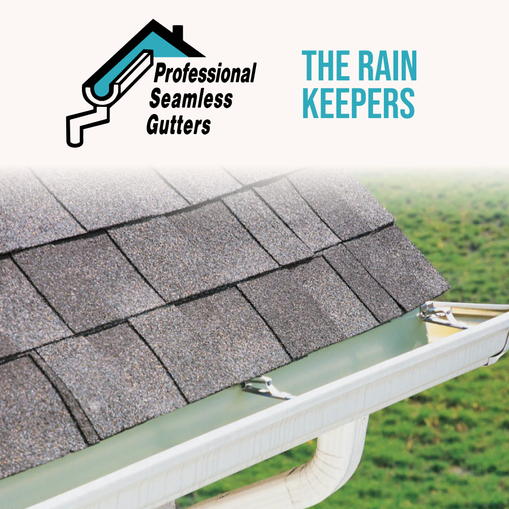 Professional Seamless Gutters
