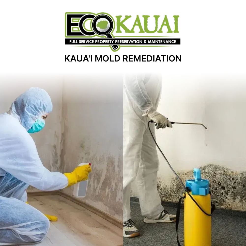 Eco Kauai Services