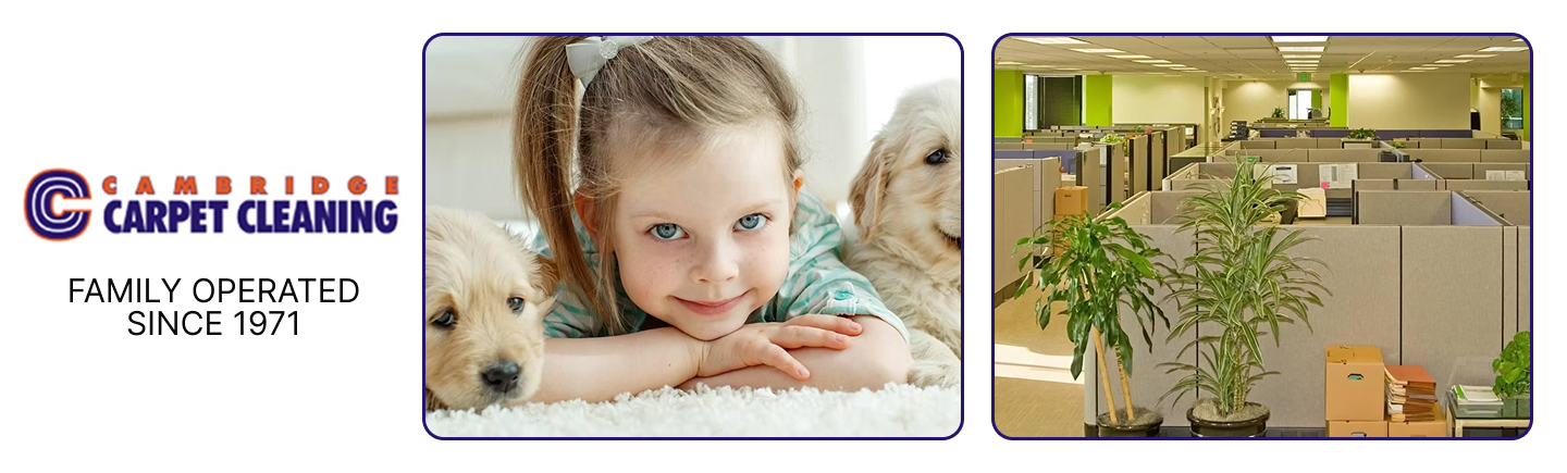 Cambridge Carpet Cleaning