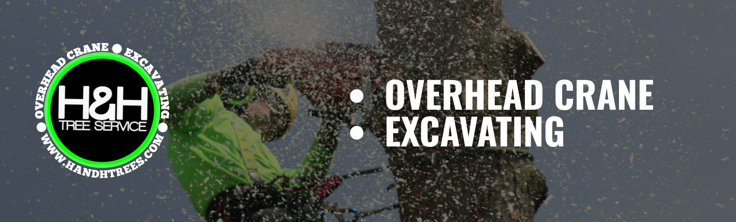 H & H Tree & Crane Service