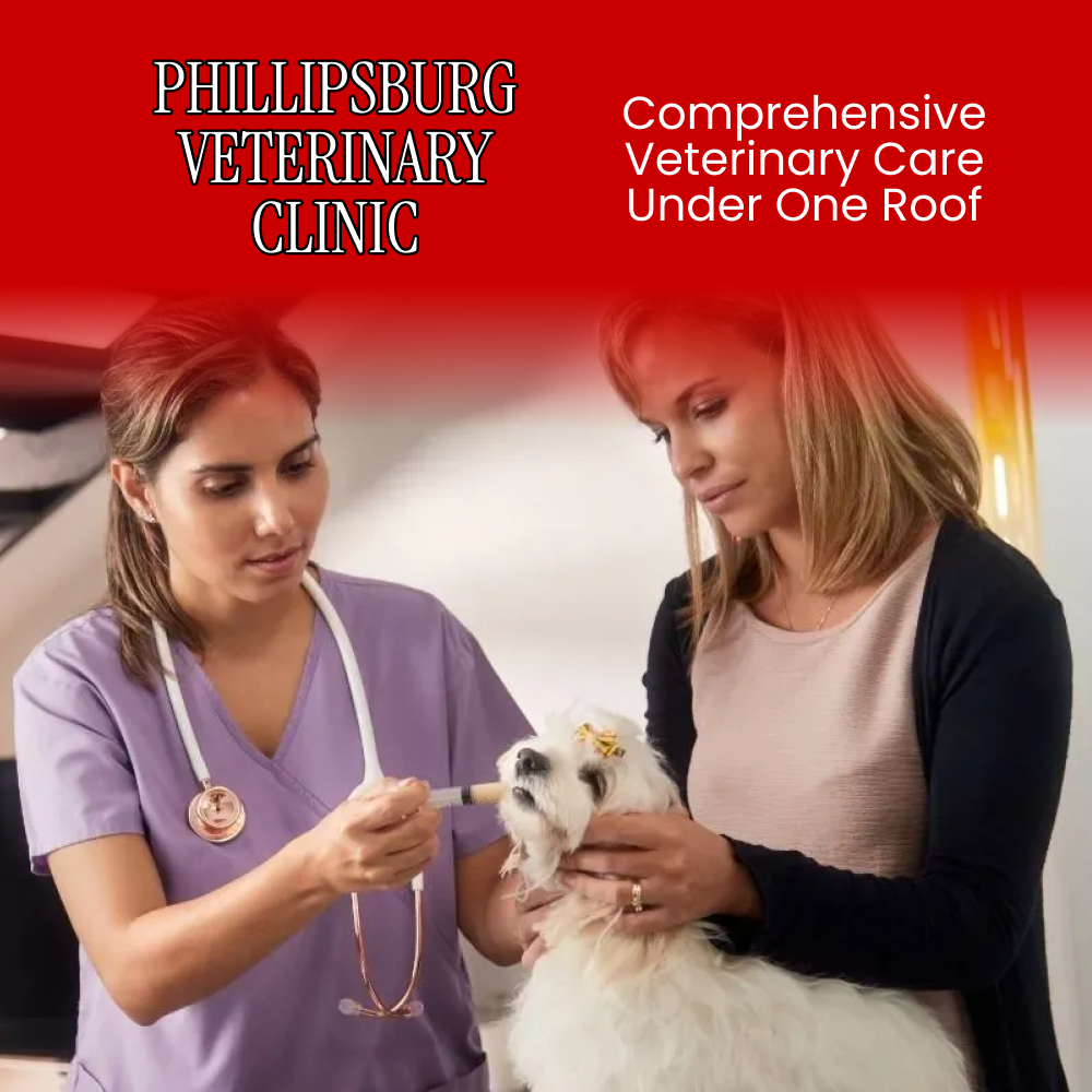 Phillipsburg Veterinary Clinic
