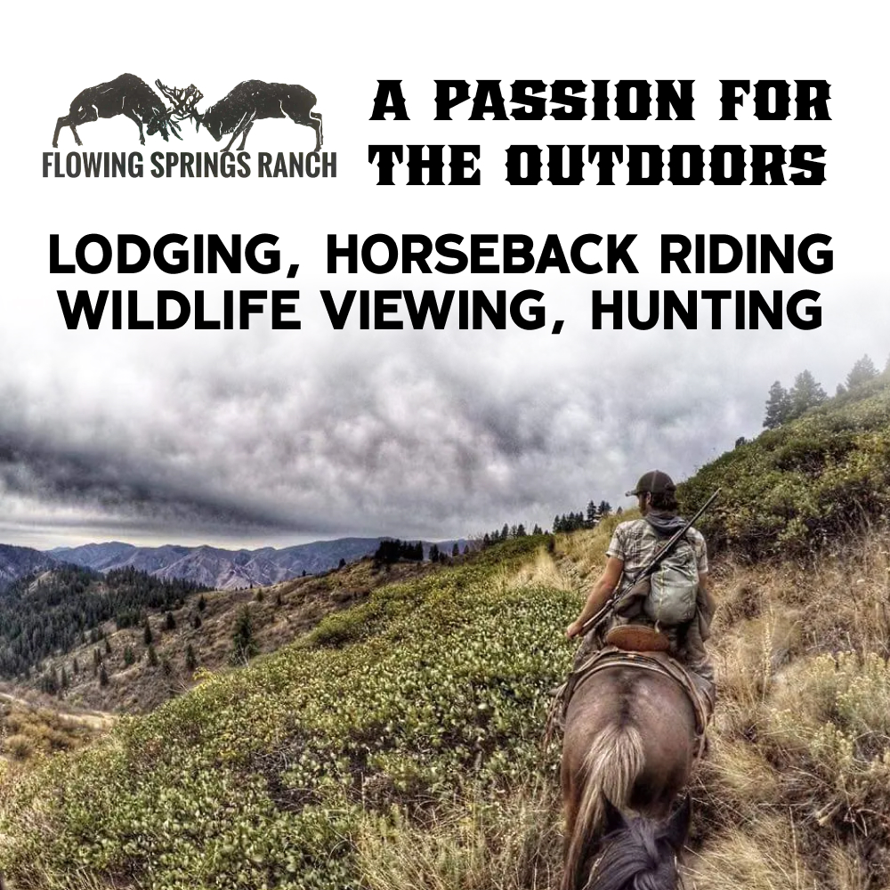 Flowing Springs Ranch